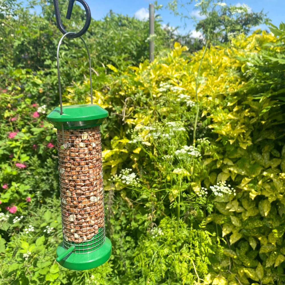 Premium Metal Peanut Feeder